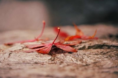 ​感叹时间过的快的句子 感叹时间匆匆的说说