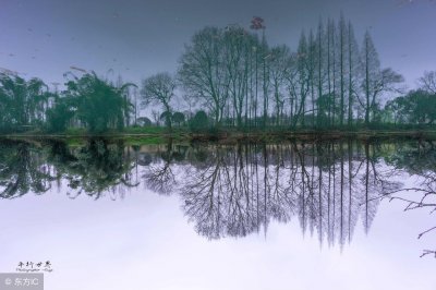 ​心甘情愿的句子句句入心坎（感悟人生的经典句子，用心甘情愿的态度，过随遇而