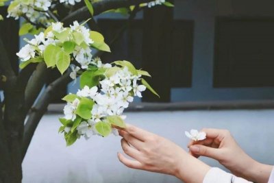 ​深情的句子唯美短句子（唯美温暖神仙句子，深情治愈简短精致文案，人生感悟精