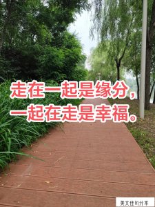 ​感恩感谢的句子经典语录（关于感恩优美词句）