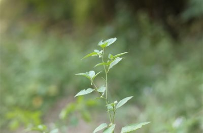 ​失败的姻缘女生网名(优选159个)