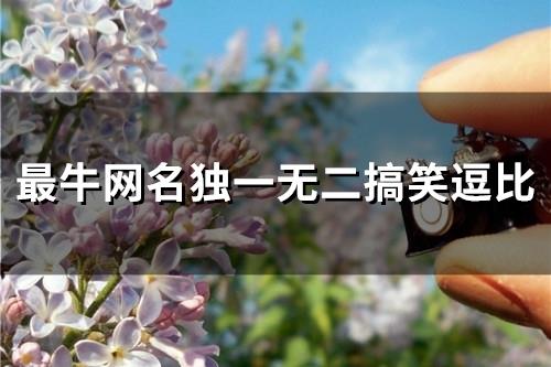 最牛网名独一无二搞笑逗比(精选139个)