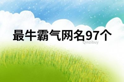 ​最牛霸气网名97个