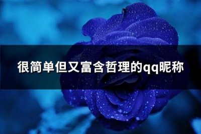 ​很简单但又富含哲理的qq昵称(共415个)