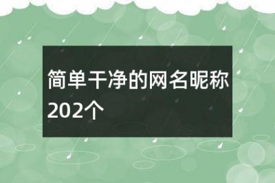 ​简单干净的网名昵称202个