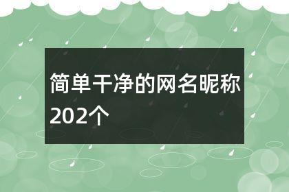 简单干净的网名昵称202个