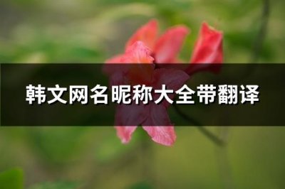 ​韩文网名昵称大全带翻译(109个)