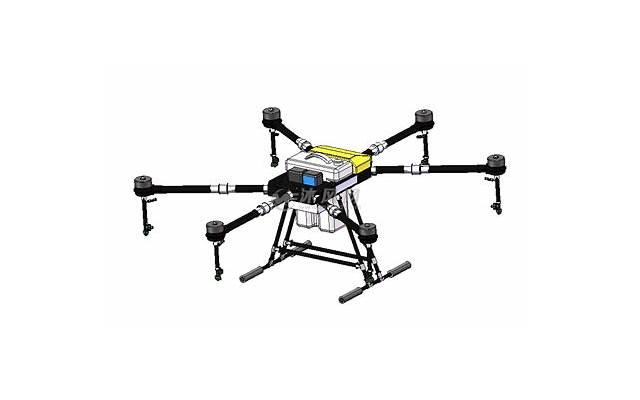 表白情话10「关于植姓的情话」 表白情话10「关于植姓的情话」