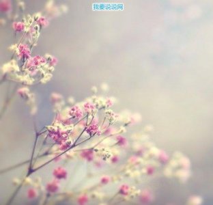 ​五四青年节青春唯美寄语 五四青年节青春寄语200字(精选110句)