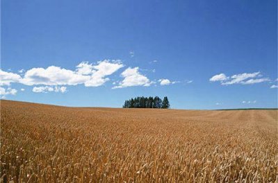 ​有关暗示在等人的爱情语录(暗示等人的文案)