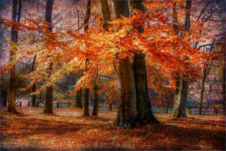 秋天的句子短句唯美摘抄