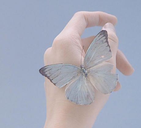 睡前最暖心的晚安情话