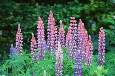 ​描写寒风瑟瑟的句子 寒风瑟瑟唯美句子(19句)