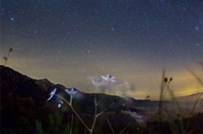 ​有一颗坚定的心比什么情话都重要