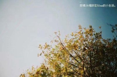 ​关于爱情悲伤的个性签名女生(精选48句)