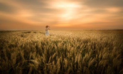 ​情话最暖心短句给男生(35句)