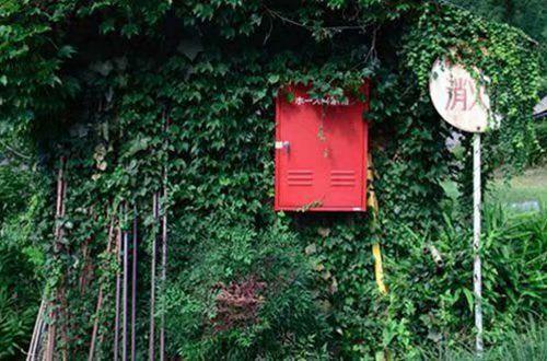 女生写给男朋友最甜的情话