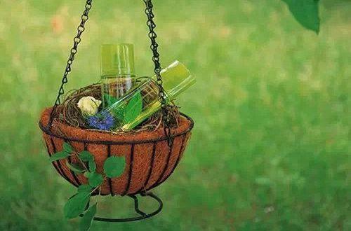 七夕土味情话大全 七夕土味情话表白