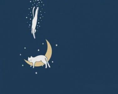 ​早上起床撩人的情话 每天一句早安小情话收录26句