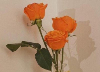 ​撩小哥哥套路聊天句子 女生必备的撩汉情话(22句)