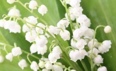 ​卡片很甜很撩的情话短句(22句)