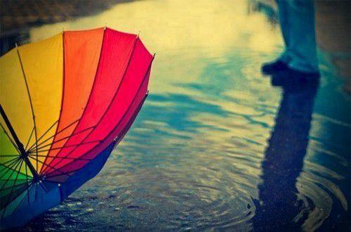 赞美春天花的优美句子