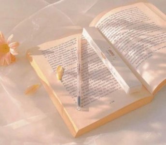 ​描写夏天的句子超优美2025年汇总65句