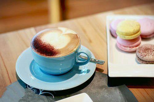 关于草的优美句子