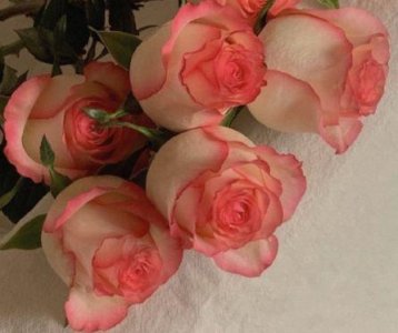 ​很甜很撩的句子大全(精选99句)