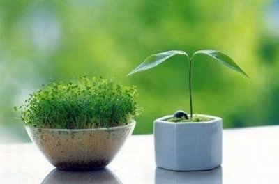 ​形容伤心的句子摘录39条