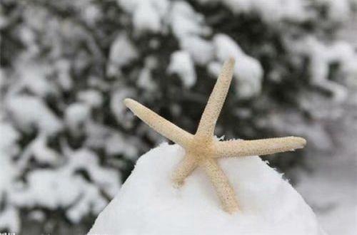 表示很想离开的句子