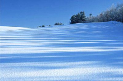 ​领导让人心寒的句子(28句)