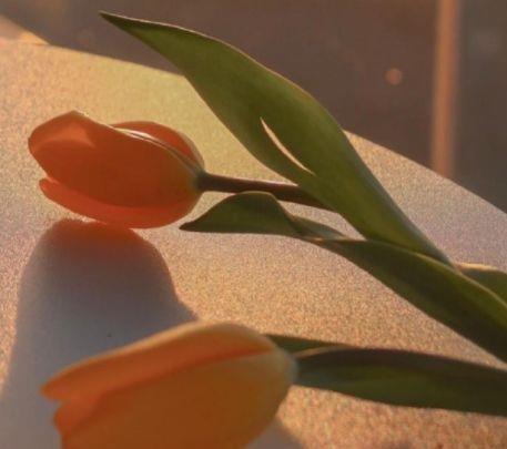 表示对闺蜜寒心的句子 被闺蜜伤了心的句子