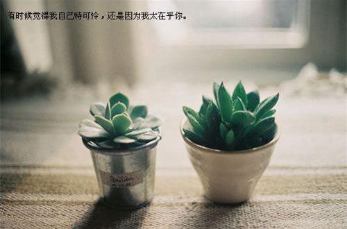 表达爱的句子简短的句子