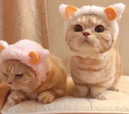 高级有质感的句子 高级有质感的句子短句