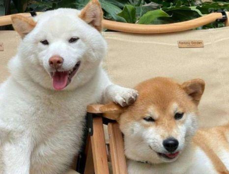 自己带孩子对老公失望的句子