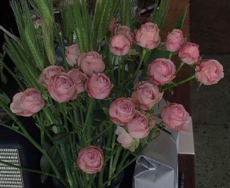 表示心烦累的句子