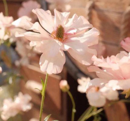 我想我会开始想念你 非常想念一个人的句子