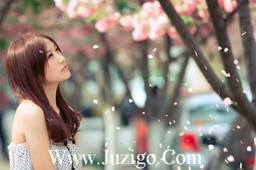 最美的句子关于爱情83句