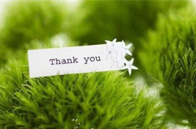 ​爱情感慨的句子说说99句