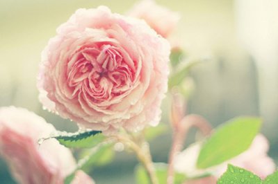 ​莎士比亚名言爱情133句