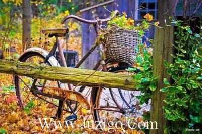 ​关于爱情的句子大全：爱情就像一场梦，愿永不醒