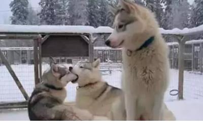 qq空间表白的句子