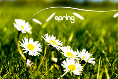 ​爱情的唯美短句 发给对象的情话(85句)