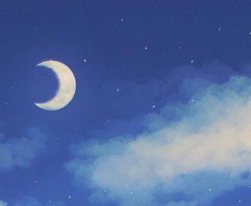 ​伤心爱情句子79条