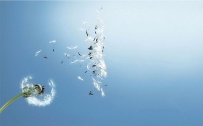 ​哄女朋友睡觉的暖心情话让女孩早点睡觉的温柔句子