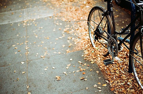 打动人心的表白爱情语录 告白表白情话大全(精选79句)