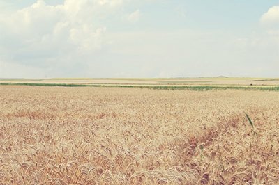 ​520表白情话句子520表白情话100字(精选79句)