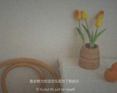 ​唯美英文爱情语录短句