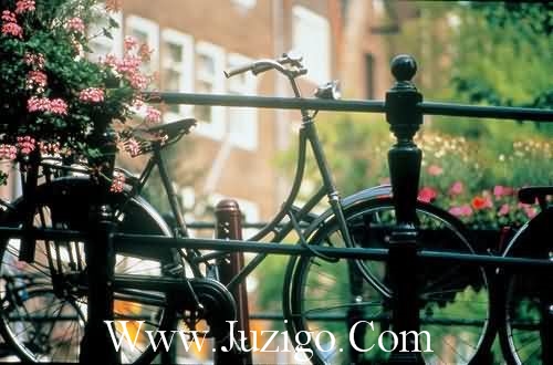 挽回爱情的句子 挽回爱情的说说(84句)